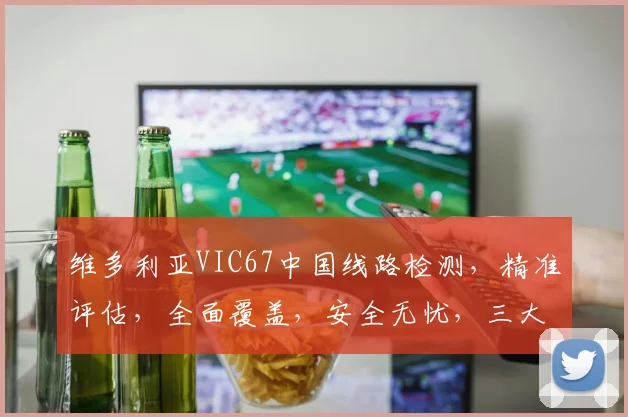 维多利亚VIC67中国线路检测，精准评估，全面覆盖，安全无忧，三大优势凸显。