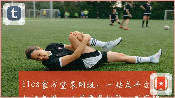 61cs官方登录网址，一站式平台，快速便捷，三步登录体验，不容错过