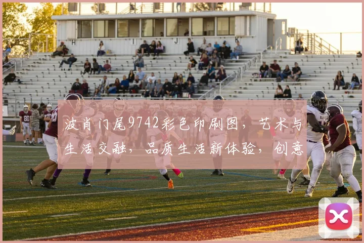 波肖门尾9742彩色印刷图，艺术与生活交融，品质生活新体验，创意无限呈现。